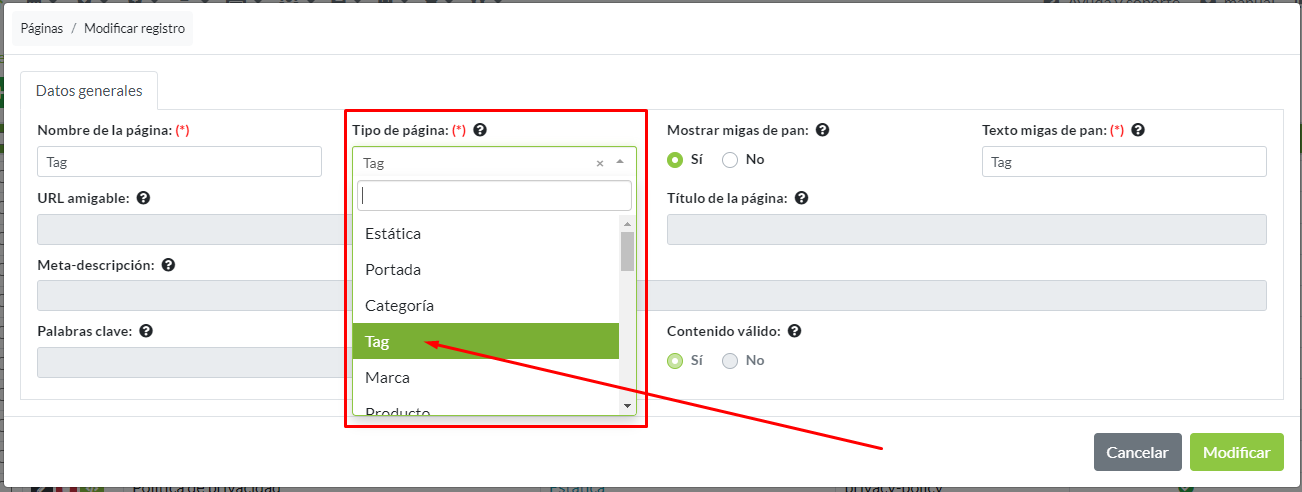 Detalle de tipo de página Tag en la creación de un registro