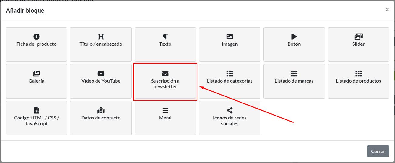Selección de Suscripción a newsletter en menú de nuevo bloque de contenido.